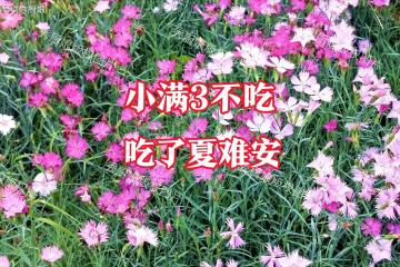 「小滿3不吃，吃了夏難安」，3不吃指啥？5月20日小滿，要管住嘴