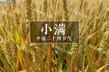 5月20日小滿,老人說「小滿吃3寶,不往醫院跑」,這「3寶」指啥