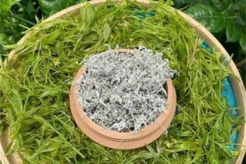 怎樣選購莓茶?野生莓茶與特級莓茶哪個好?