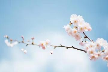 有一種緣盡，叫「斷聯」！（心酸）