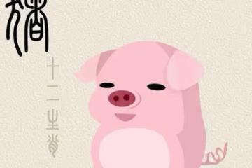 9月生肖豬的運勢轉折點