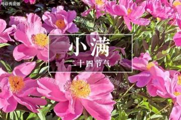 「小滿吃一寶,不往醫院跑」,到底吃啥好?今天解密教你怎麼吃~