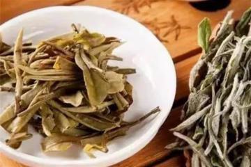 白茶是屬於什麼茶類？什麼是白茶？其實很多茶友還真不知道