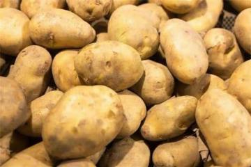 馬鈴薯是土豆嗎？土豆是如何成為人類食物的？