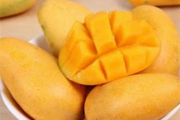 芒果可以放冰箱冷藏嗎?芒果保存這幾點一定注意
