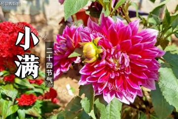 5月20日小滿,再忙不忘「食3瓜,吃1肉」,養陰清濕熱,安康度夏