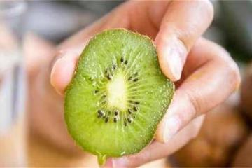 獼猴桃是硬的怎麼辦?怎麼催熟獼猴桃?獼猴桃快速催熟的幾個方法