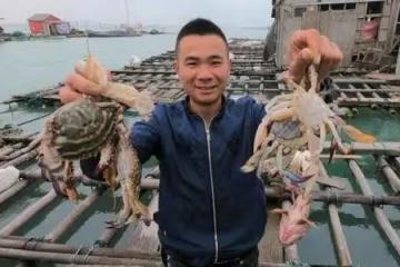 回顧福建小伙16歲輟學，19歲回村，29歲拍趕海視頻爆火，年入百萬