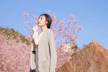 岳母嫌棄我,老婆卻說準備離婚了,後來我才知道她在保護這個家!