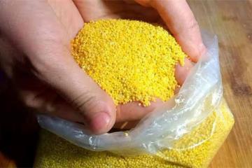 小米煮多久才算熟？大廚教你正確做法，米粥濃稠米油多