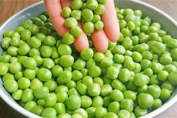 豌豆保存焯水好還是直接冷凍？教你正確方法，放一年都新鮮