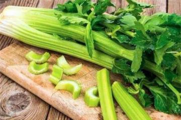 西芹和芹菜的區別是什麼?該如何區分呢?