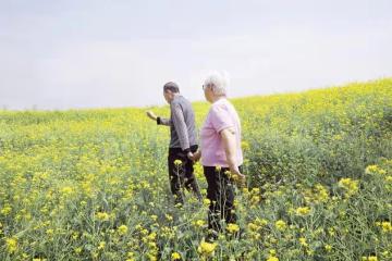 我存款200萬,退休金8千,不請保姆不去養老院,就讓兒媳給我養老