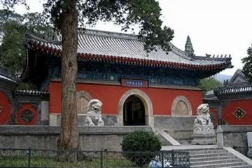 回顧遼寧一寺廟內只有女性，日睡4小時吃一餐，還禁止香客捐錢