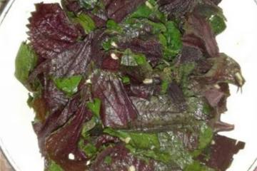 紫蘇放鍋里蒸一蒸，作用花錢也難買，很多人不知它珍貴，太厲害了