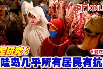 【新冠肺炎】印尼研究:爪哇島幾乎所有居民有抗體