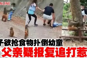 猴子欲搶食物撲倒幼童 父親疑報復追打惹議