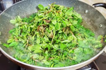 這菜全身是寶，以前常被當成雜草，如今成極品野菜，包餃子吃真香