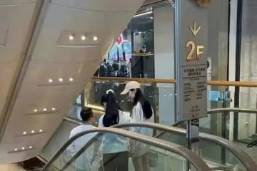 汪小菲與女兒和女友台灣逛街,女兒與大S有些相似,新女友得到女兒認可