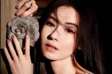 張柏芝提升公關能力,對形象,對工作全身心投入