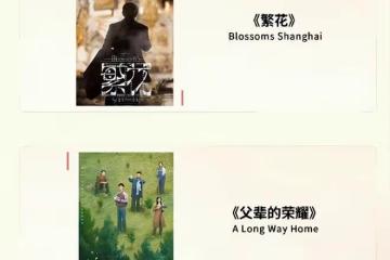 白玉蘭獎提名公布!無人在乎視帝視後,馬伊琍、劉琳成最大意難平