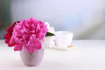 73歲老人的養老妙招:不去養老院不雇保姆,花錢請兒媳照顧餘生