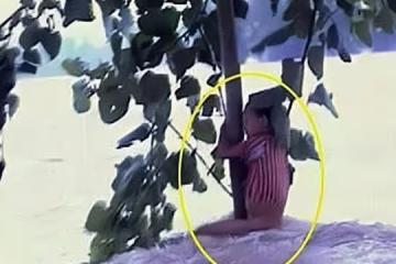 98年特大洪水，7歲女孩緊抱大樹9小時獲救，如今她的工作令人自豪