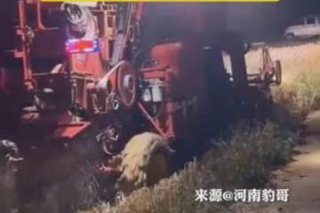 鄰居和男子6年沒說過話,突然拿煙上門祈求收麥,對視一眼心軟了