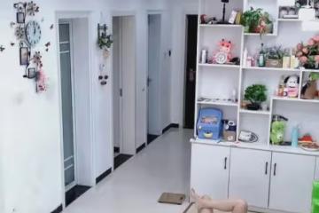 老公突然帶孩子回家卻被拒之門外？女子接下來的操作亮了：是寵溺