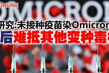 研究：未接種疫苗染Omicron　愈後難抵其他變種毒株