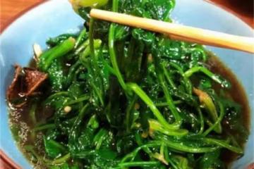 涼拌菠菜怎麼做好吃？學會關鍵的涼拌訣竅，做出不輸飯店的涼菜
