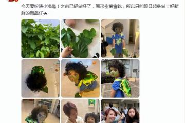 蔡少芬4歲兒子扮海龜，娘娘親手為寶貝做造型，魚蛋滿臉彩繪超萌
