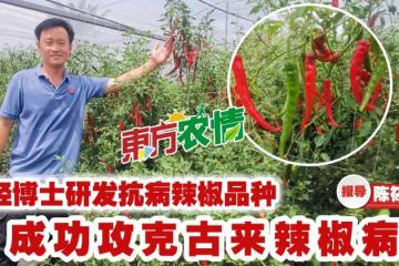 全馬唯一研發抗病基因種子 讓農民沒有種不起的菜