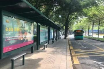 2014年，深圳好心司機救助摔倒老太，反被訛，結局卻大快人心