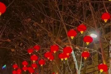 媽媽一直很照顧娘家,外婆中風「媽媽獨自一人照顧」叫舅舅專心忙工作! 年底舅舅做生意成功「一個月大賺150萬」舅媽過年前打來:今年不用回來拜年喔~