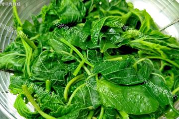 夏至前，抓緊吃「6月第一鮮」！韭菜芹菜靠邊站！用它包餃子真香