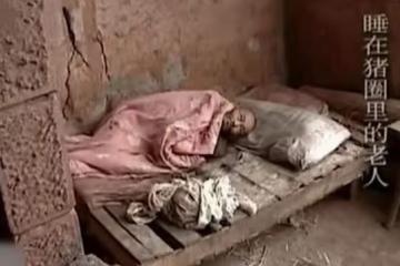 回顧75歲老人住豬圈女兒住洋樓,不孝女稱:眼不見為凈!