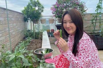 52歲楊鈺瑩自家院子手摘辣椒絕美村姑氣質令人驚艷，單身太可惜！