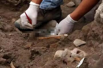 回顧一年姦殺48人，案發現場慘不忍睹，殘疾夫妻變態行為令人髮指