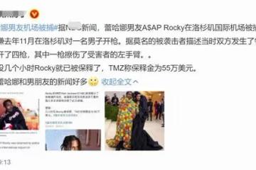 蕾哈娜男友又出事！涉槍擊案被捕交353萬保證金，曾被曝孕期出軌