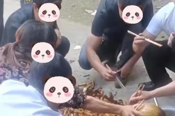 女子一人做飯全家吃,不幫忙還指手畫腳,一氣之下把菜全打翻