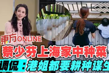 蔡少芬上海家中種菜 網調侃:港姐都要耕種謀生?