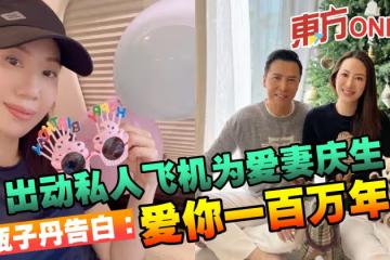 出動私人飛機為愛妻慶生 甄子丹告白:愛你一百萬年!