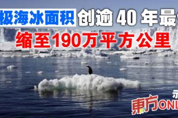 南極海冰面積創逾40年最低　縮至190萬平方公里