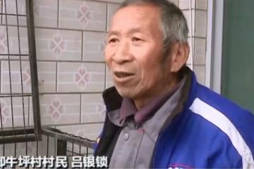 回顧老漢撿到一隻受傷大鳥,越看越奇怪,救了10天後出現神奇一幕