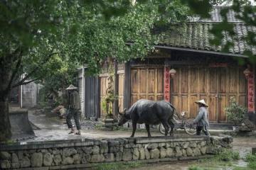 兩兒子打光棍責怪父母沒本事不管父母,父母收養了一個女兒