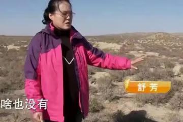 女子變賣家產，砸千萬開發沙漠，因地里寶貝，13年後年入2.7億