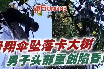 滑翔傘墜落卡大樹 男子頭部重創陷昏迷
