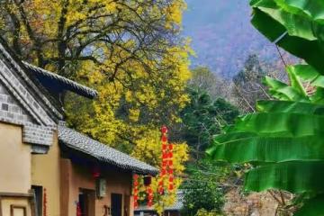 男子強拿銀行卡給弟弟買房被拒毆打妻子，兒女：我們沒你弟弟親嗎