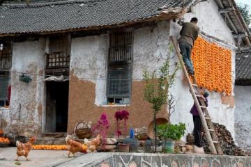 在兒子家帶孫,兒媳天天給我冷臉,我讓她媽來帶孩子,兒子又不幹